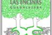 Terapeuta ocupacional